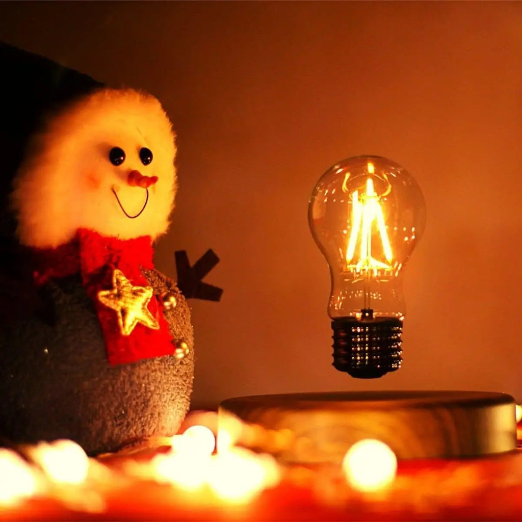 Levitating Moon & Bulb