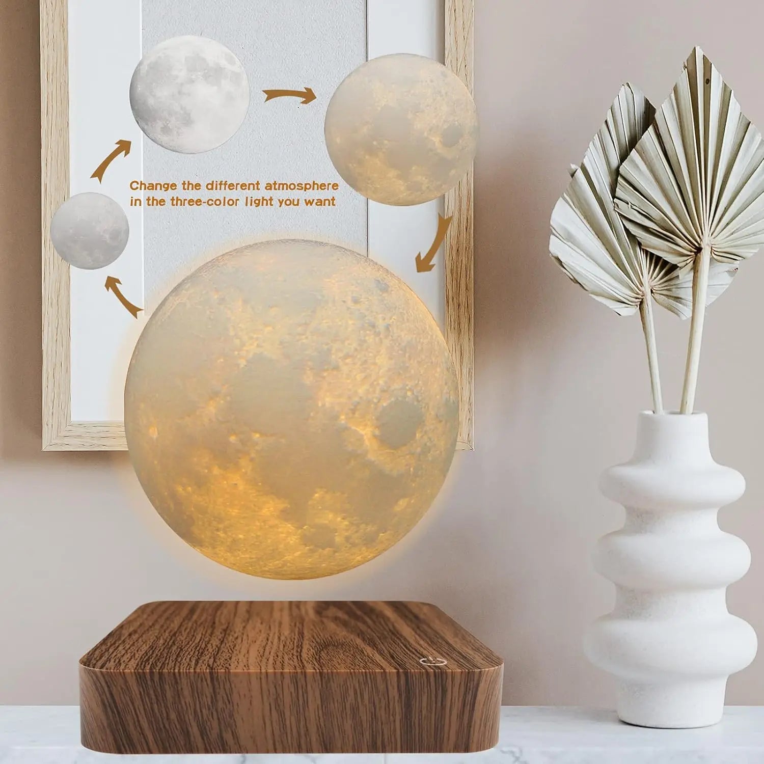 Levitating Moon & Bulb